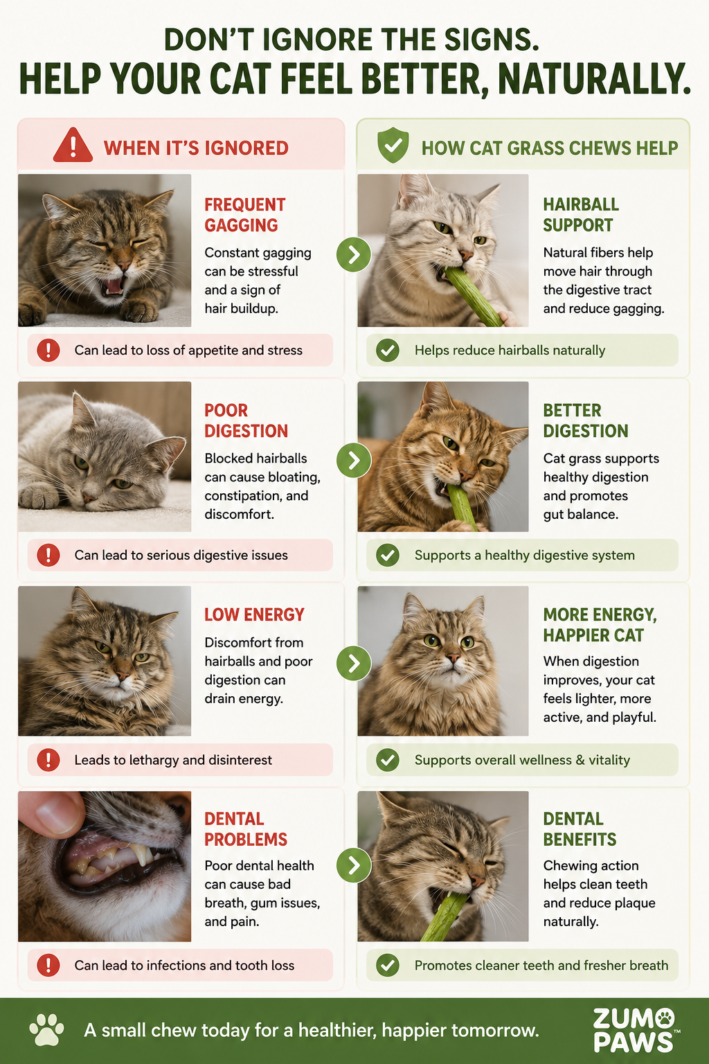 Cat Grass Chew