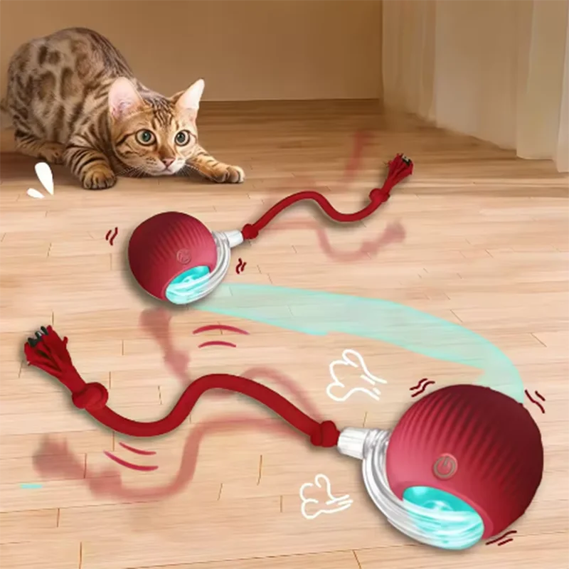 Motion Cat Ball