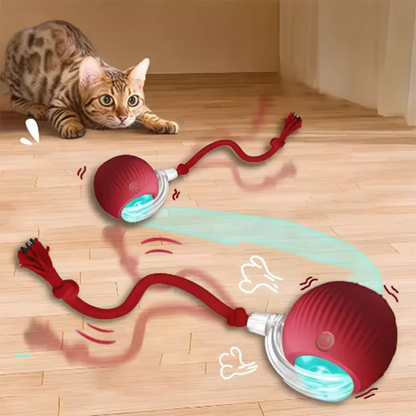 Motion Cat Ball