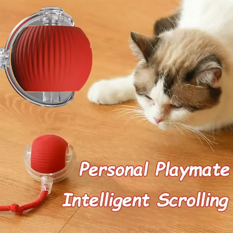 Motion Cat Ball
