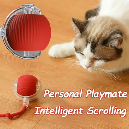 Motion Cat Ball